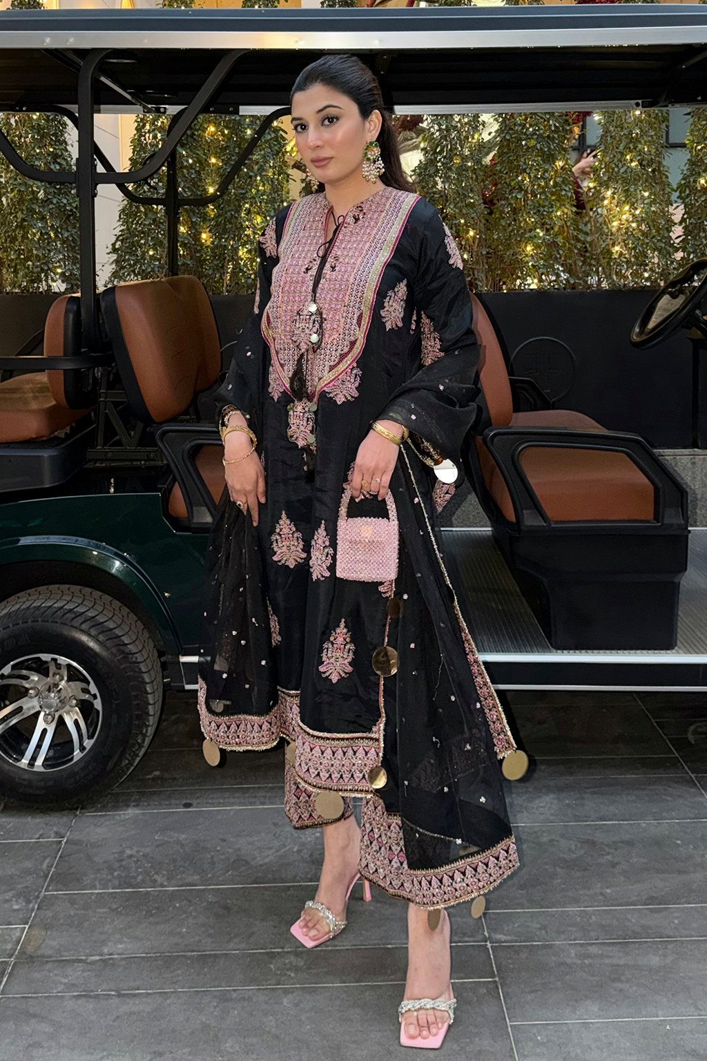 Anisa